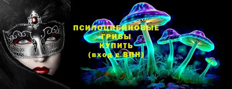 где продают наркотики  blacksprut как войти  Псилоцибиновые грибы Cubensis  Болохово 